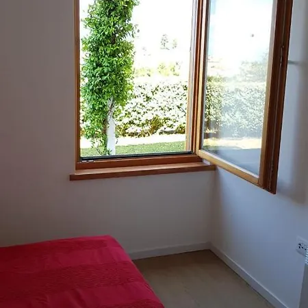 Di * 말리로시니
